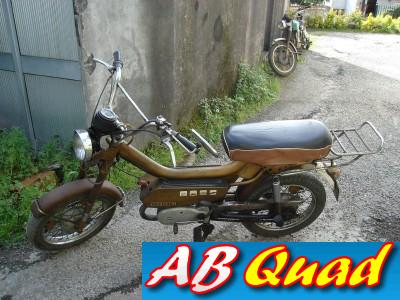 casal_k168_boss_dourada_minha[1]